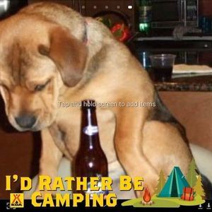 Meet your Posher, Randy